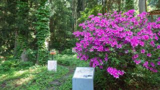 ５月１０日（金）（北口→白山比咩神社創祀の地→馬出門→北口）